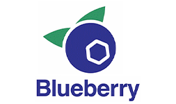 株式会社Blueberry